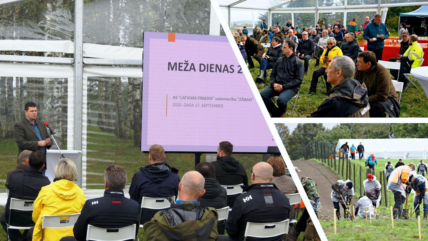 Meža dienu kolāža - prezentācijas klausīšanās un koku stādīšana