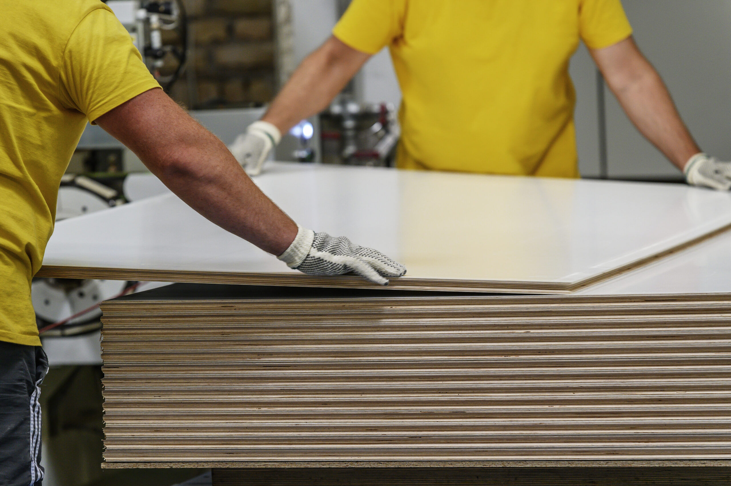 Darbinieki pārvieto saplākšņa paneļus