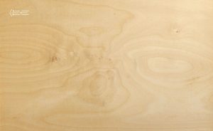 Irregularities in the structure of the wood