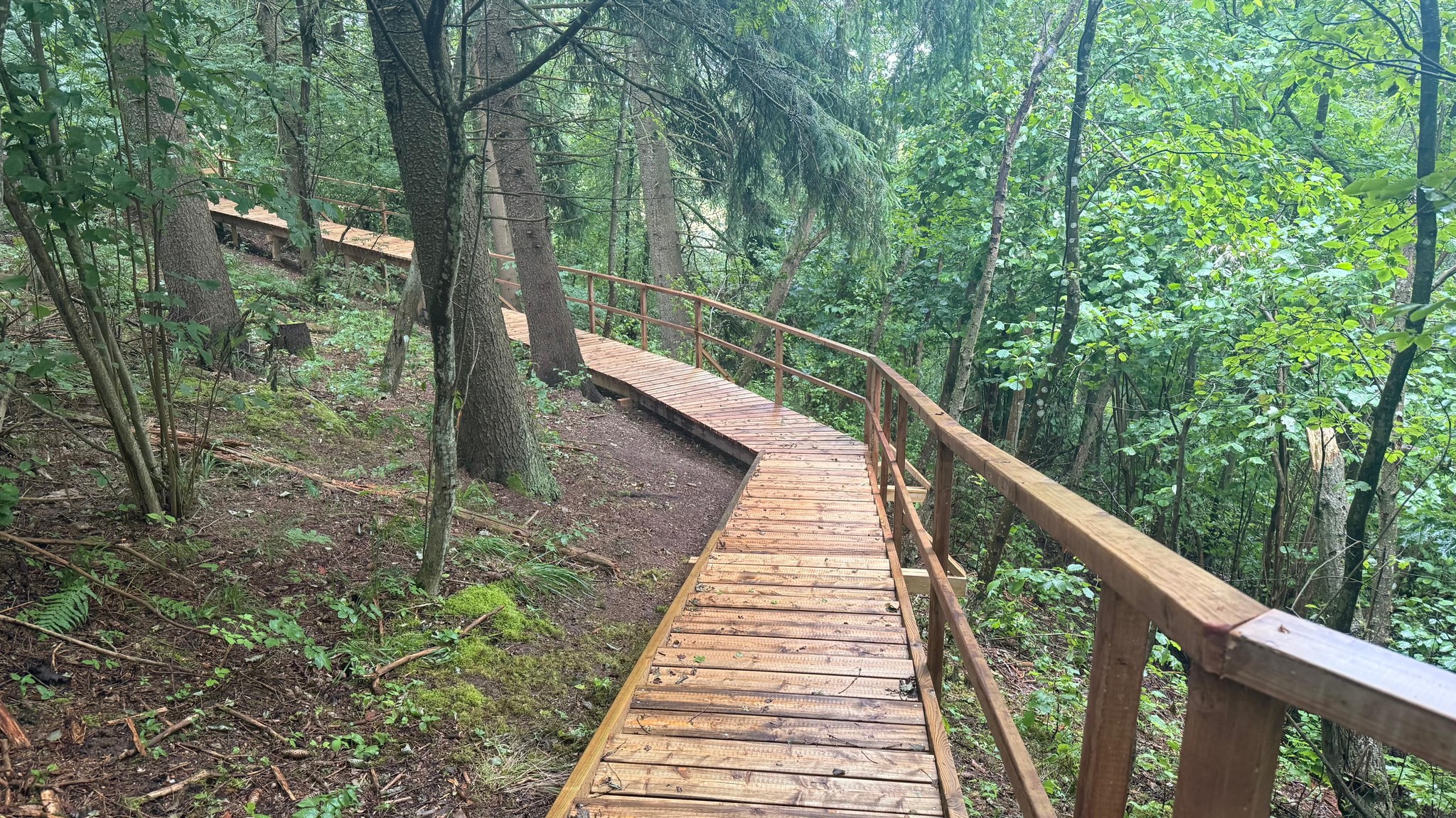 Sarkaņkalna dabas taka