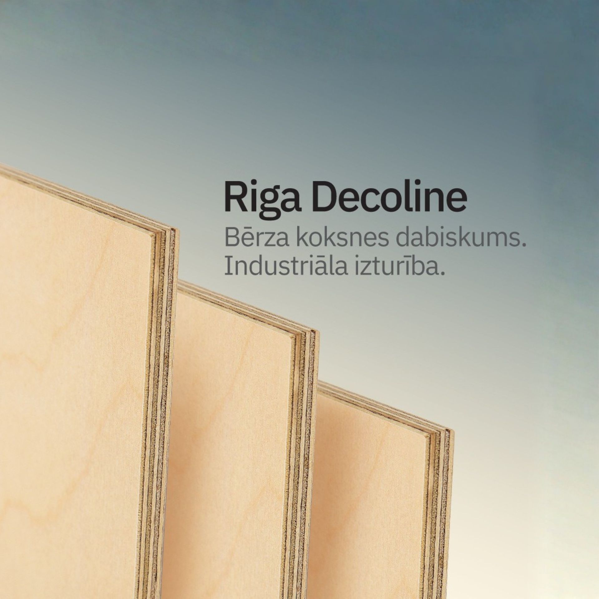 Riga Decoline: Natural Birch Look. Industrial Durability.